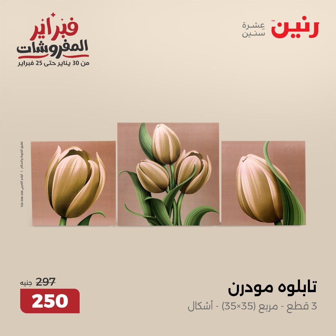 raneen offers from 30jan to 1feb 2025 عروض رنين من 30 يناير حتى 1 فبراير 2025 صفحة رقم 6